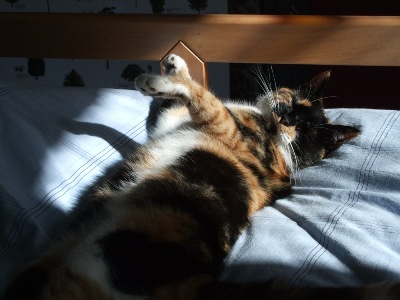 Jemima in the sun