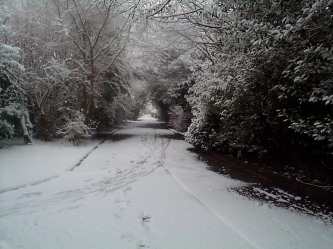 Park in the Snow: 10:00am