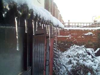 Back Garden with Icicles: 15:10am