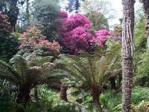 Lost Gardens of Heligan