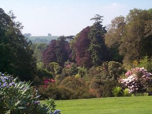 Trebah Gardens