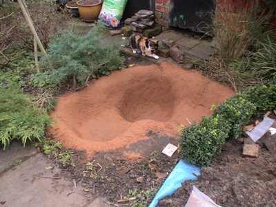 Making the pond