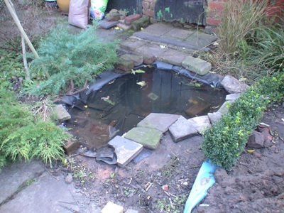 Making the pond