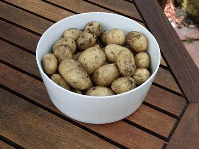 Potatoes