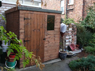 Back garden shed