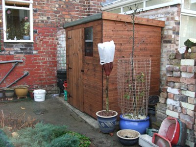 Back garden shed