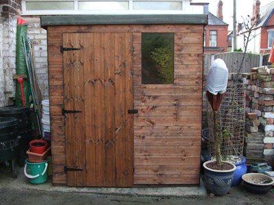 Back garden shed