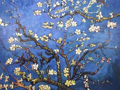 Almond Tree