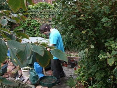 Ross in the garden