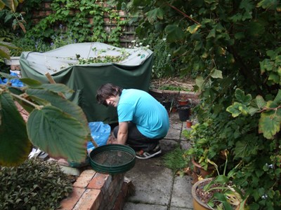 Ross in the garden