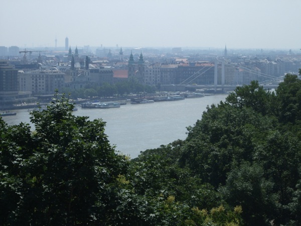 Pest Panorama