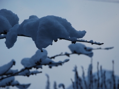 Snow in Crosby