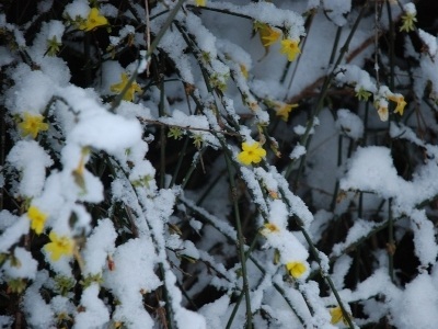 Snow in Crosby