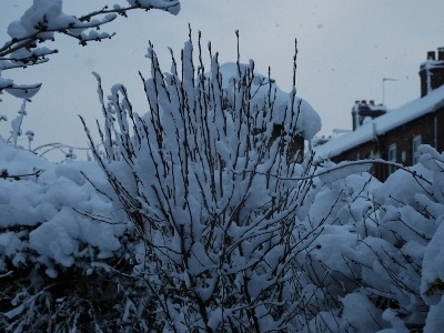 Snow in Crosby