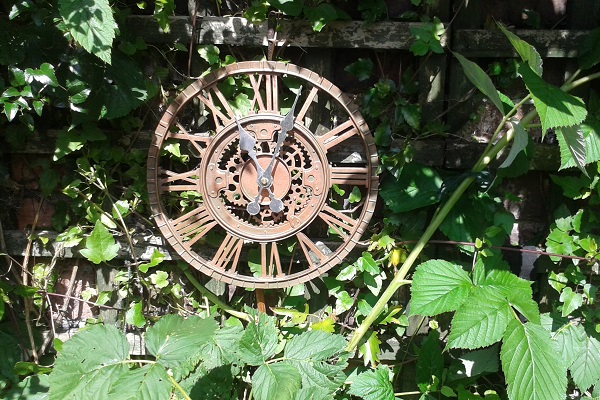 Garden clock