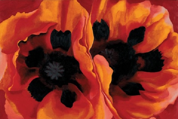 Oriental Poppies