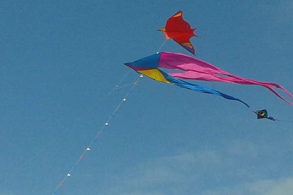 Big kite day