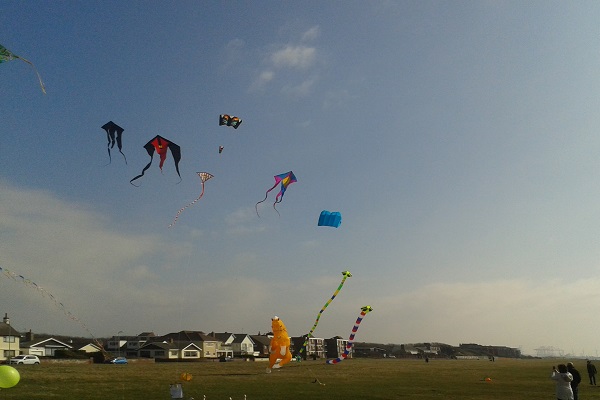 Big kite day