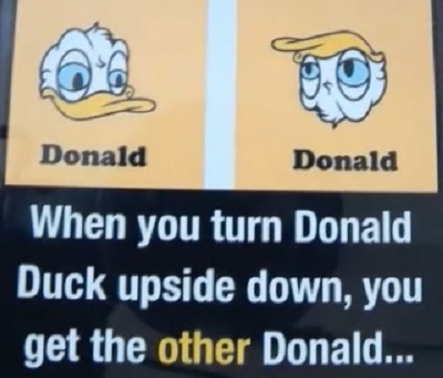 Donald Duck and the other one