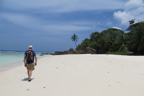 David and beach