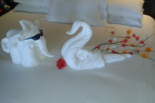 Towel Art