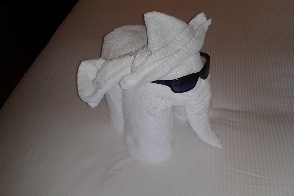 Towel Art