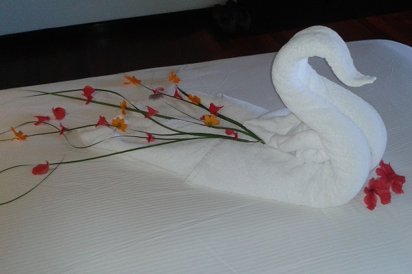 Towel Art