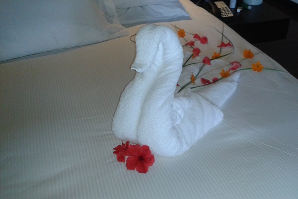 Towel Art