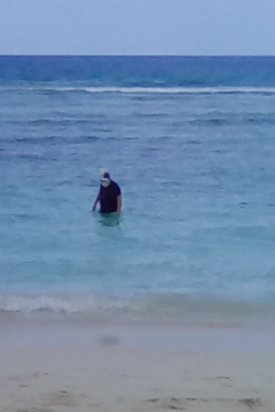 Ross snorkelling