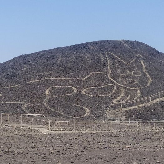 Cat markings on the Nazca plateau in Peru