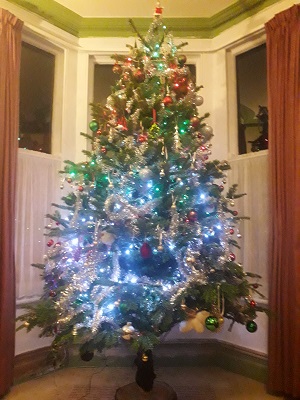 This year's Christmas tree