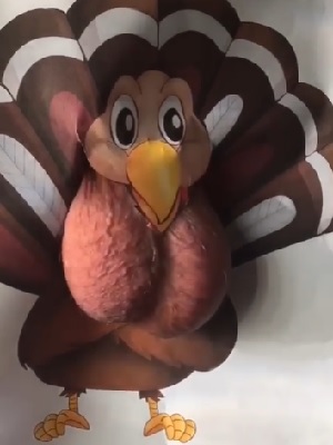 Leo's Christmas turkey