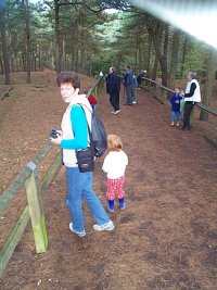 Looking at Red Squirrels